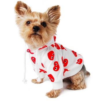 E-Comm: Just 21 Cute Things to Celebrate National Puppy Day